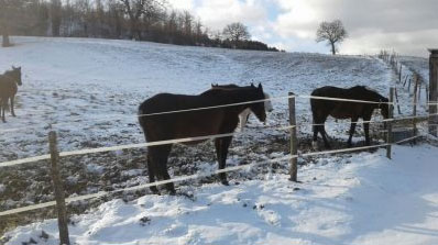 cavalli sibillini neve