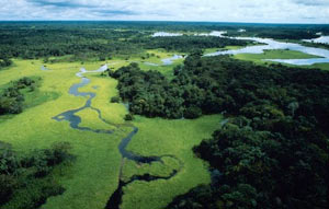 ecuador-foresta-amazzonica