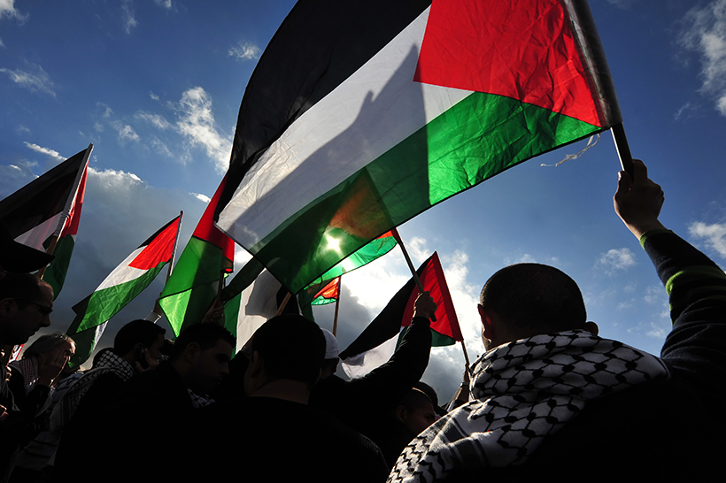 bandiera palestinese dep