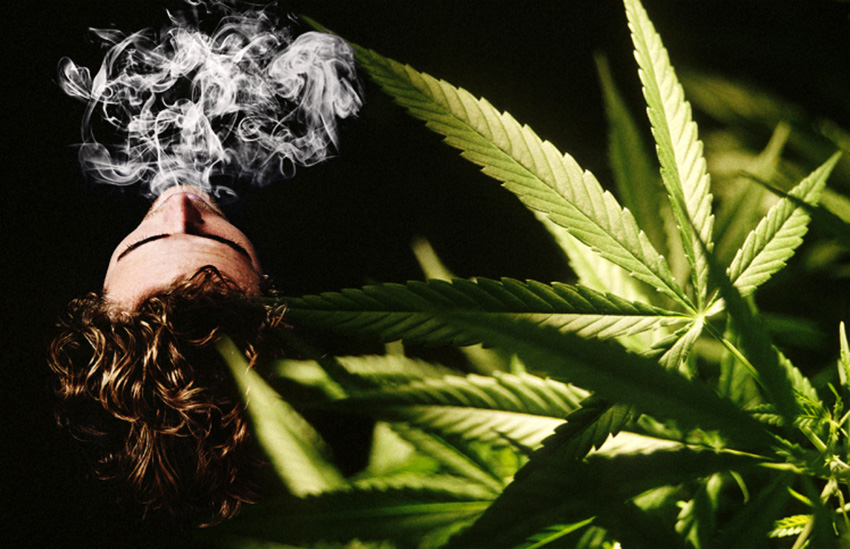 cannabis fumo eff